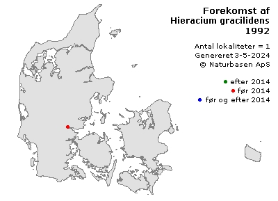 Hieracium gracilidens - udbredelseskort
