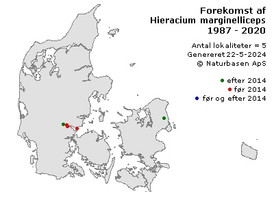 Hieracium marginelliceps - udbredelseskort