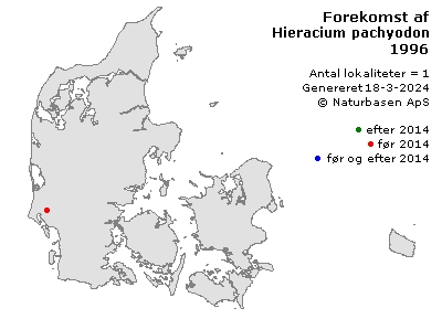 Hieracium pachyodon - udbredelseskort