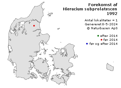 Hieracium subprolatescens - udbredelseskort