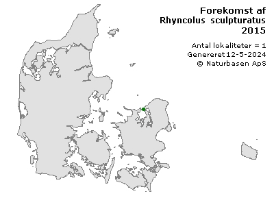 Rhyncolus sculpturatus - udbredelseskort