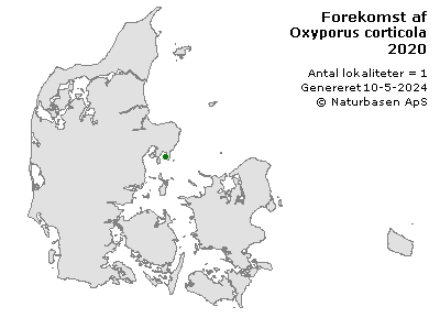 Oxyporus corticola - udbredelseskort