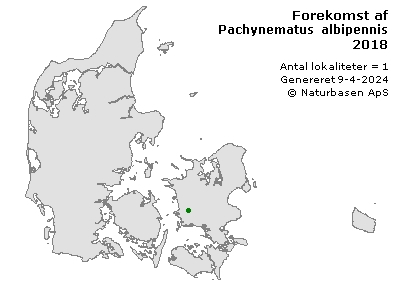 Pachynematus albipennis - udbredelseskort