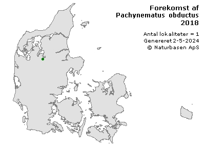 Pachynematus obductus - udbredelseskort