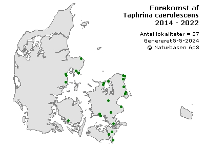Taphrina caerulescens - udbredelseskort