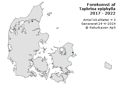 Taphrina epiphylla - udbredelseskort