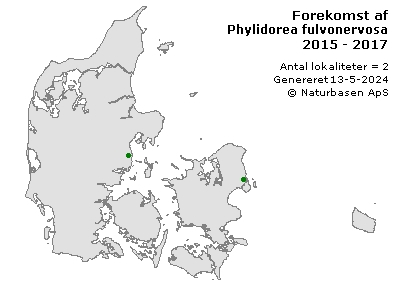 Phylidorea fulvonervosa - udbredelseskort