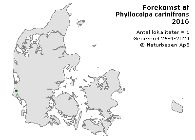 Phyllocolpa carinifrons - udbredelseskort