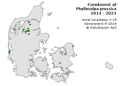 Phyllocolpa prussica - udbredelseskort