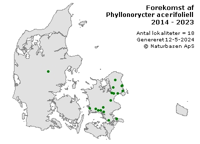 Phyllonorycter acerifoliella - udbredelseskort