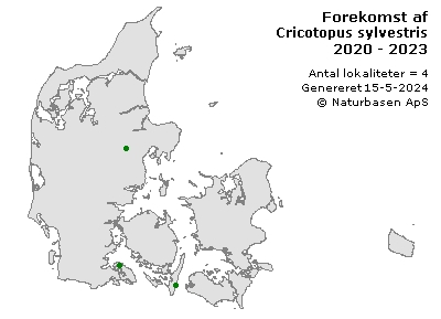 Cricotopus sylvestris - udbredelseskort