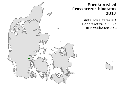 Crossocerus binotatus - udbredelseskort