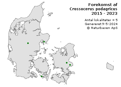 Crossocerus podagricus - udbredelseskort
