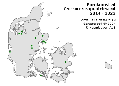 Crossocerus quadrimaculatus - udbredelseskort