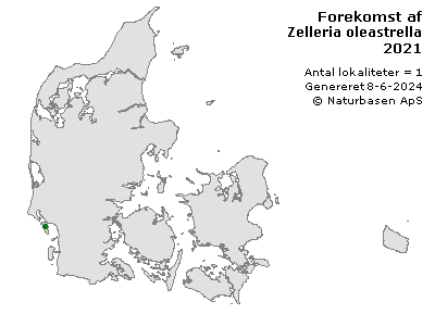 Zelleria oleastrella - udbredelseskort