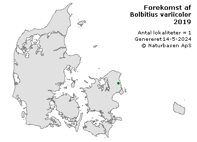 Bolbitius variicolor - udbredelseskort