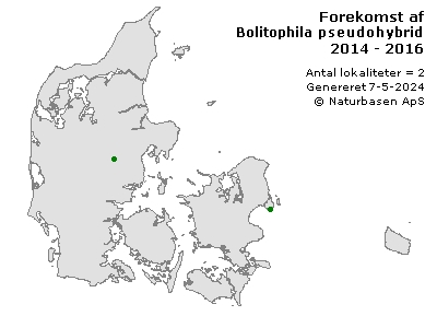 Bolitophila pseudohybrida - udbredelseskort