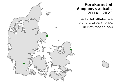 Anoplonyx apicalis - udbredelseskort