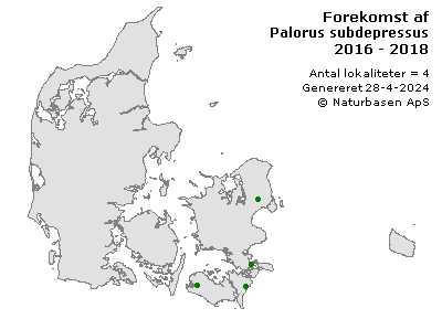 Palorus subdepressus - udbredelseskort