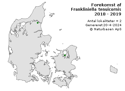 Frankliniella tenuicornis - udbredelseskort