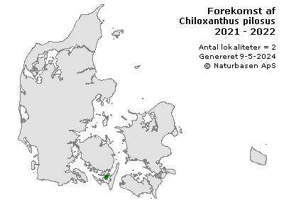 Chiloxanthus pilosus - udbredelseskort