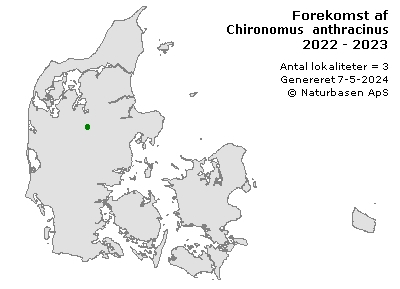 Chironomus anthracinus - udbredelseskort