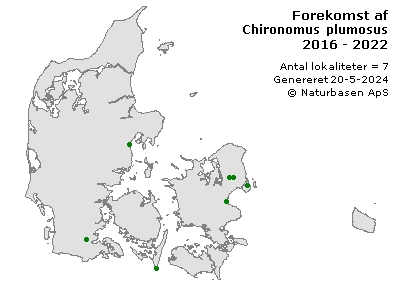 Chironomus plumosus - udbredelseskort