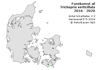 Trichopria verticillata - udbredelseskort