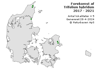 Trifolium hybridum - udbredelseskort