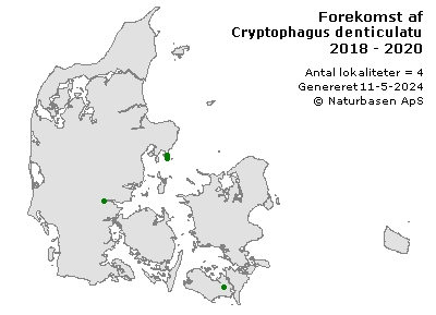 Cryptophagus denticulatus - udbredelseskort