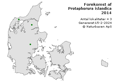 Protaphorura islandica - udbredelseskort