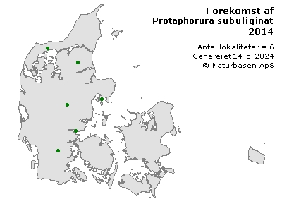 Protaphorura subuliginata - udbredelseskort