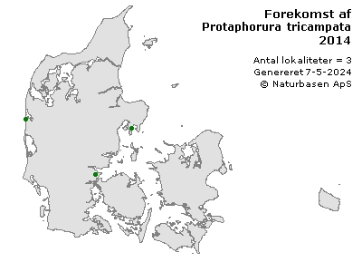 Protaphorura tricampata - udbredelseskort
