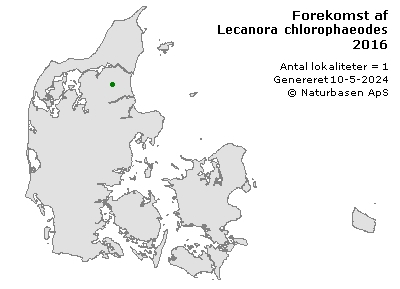Lecanora chlorophaeodes - udbredelseskort