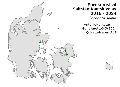 Saltstøv-Kantskivelav - udbredelseskort