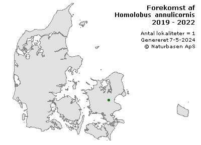 Homolobus annulicornis - udbredelseskort