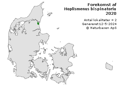 Hoplismenus bispinatorius - udbredelseskort