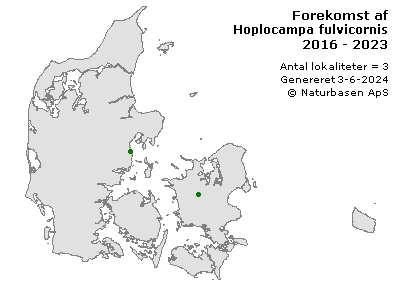 Hoplocampa fulvicornis - udbredelseskort