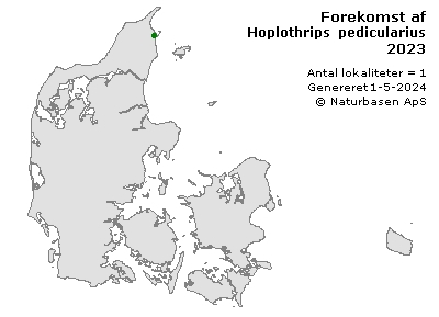 Hoplothrips pedicularius - udbredelseskort