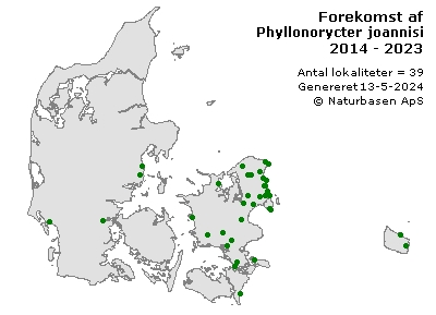 Phyllonorycter joannisi - udbredelseskort