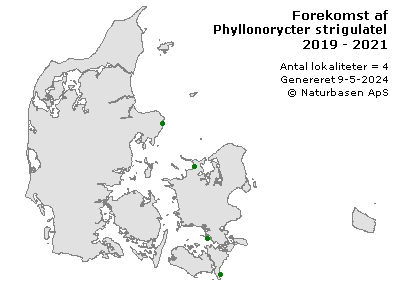 Phyllonorycter strigulatella - udbredelseskort