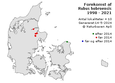 Rubus hobroensis - udbredelseskort