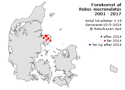 Rubus mucronulatus - udbredelseskort