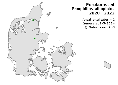 Pamphilius albopictus - udbredelseskort