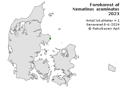 Nematinus acuminatus - udbredelseskort
