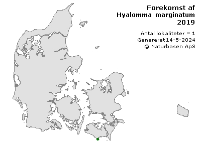 Hyalomma marginatum - udbredelseskort