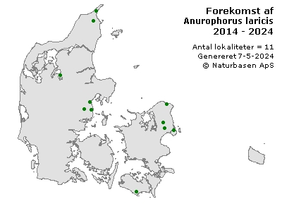 Anurophorus laricis - udbredelseskort