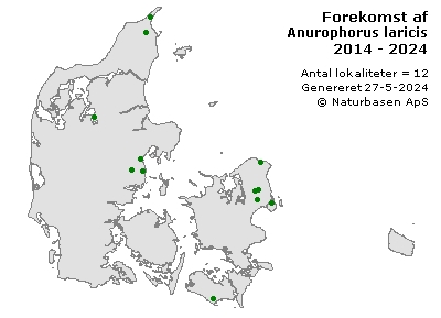 Anurophorus laricis - udbredelseskort
