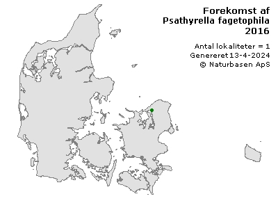 Psathyrella fagetophila - udbredelseskort