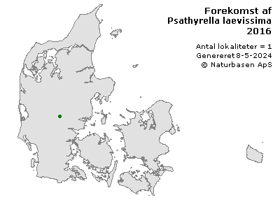 Psathyrella laevissima - udbredelseskort
